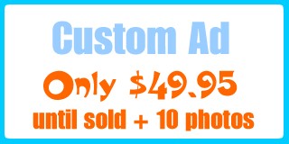 Custom Ad 10 photos including advanced editing features such as changing text size/font, add links etc.